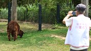 長輩嘗試為動物拍照