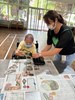 動手作作仙人掌植裁